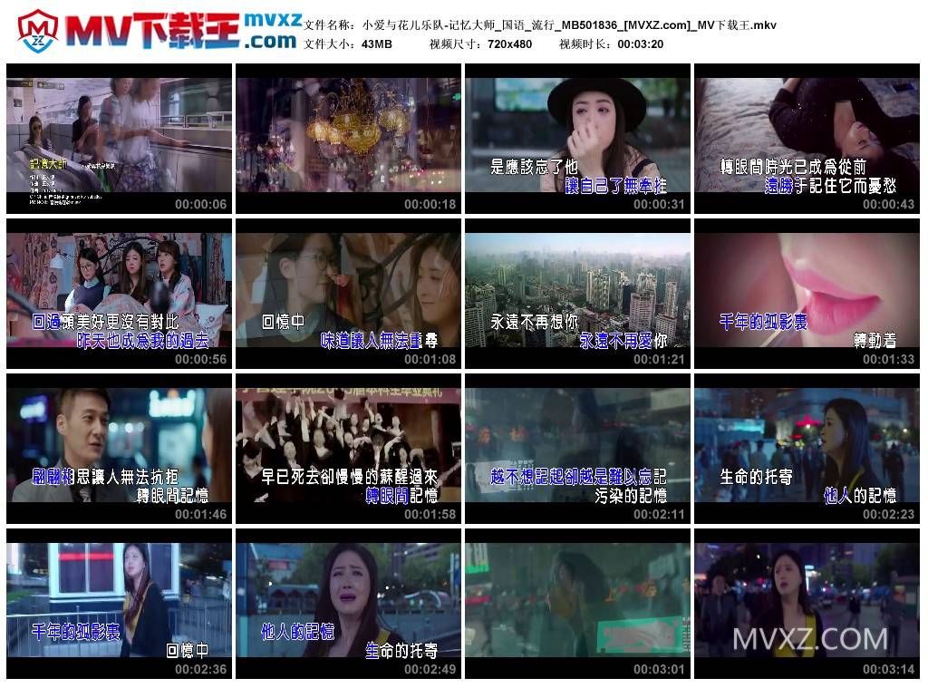 小爱与花儿乐队-记忆大师_国语_流行_MB501836